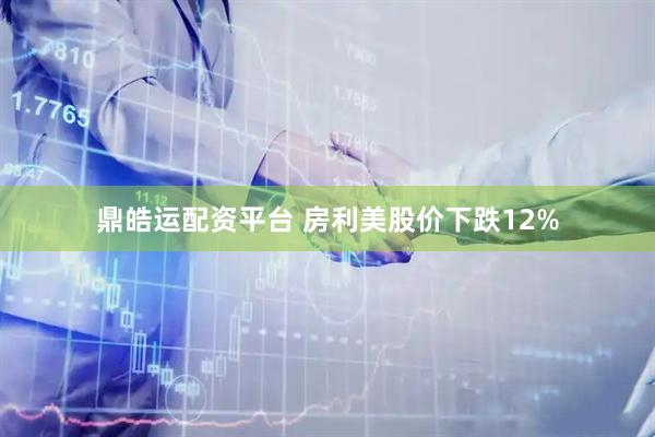 鼎皓运配资平台 房利美股价下跌12%