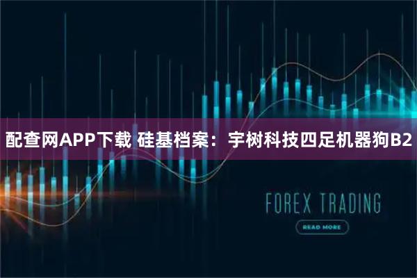配查网APP下载 硅基档案：宇树科技四足机器狗B2
